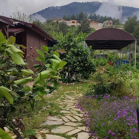 Cafe Yolda Bungalov Campingplatz