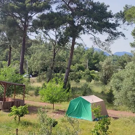 Cafe Yolda Bungalov
