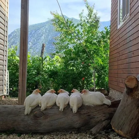 Cafe Yolda Bungalov Adrasan