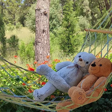 Campingplatz Cafe Yolda Bungalov *